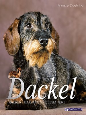 cover image of Dackel